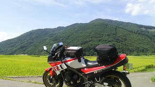 IMG_20170906_174342.jpg